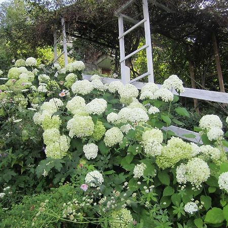 Il Giardino Dell'Artemisia Villa Пила Екстериор снимка