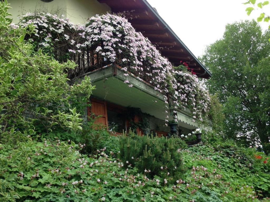 Il Giardino Dell'Artemisia Villa Пила Екстериор снимка