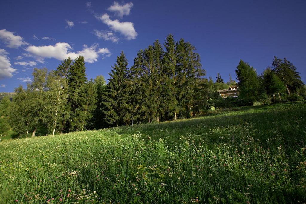 Il Giardino Dell'Artemisia Villa Пила Екстериор снимка